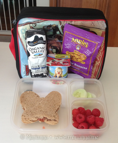 Get School Lunch Ideas from Rock the Lunch Box Giveaway Marianna