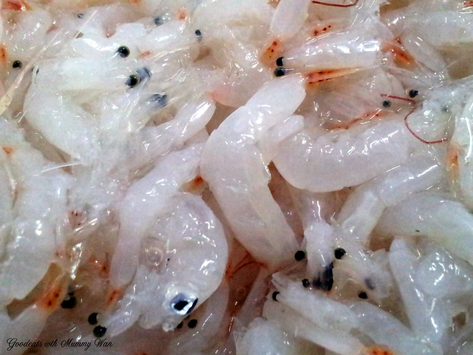 Acetes Alchetron, The Free Social Encyclopedia