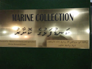 The Marine Section of "National Museum of Maldives"