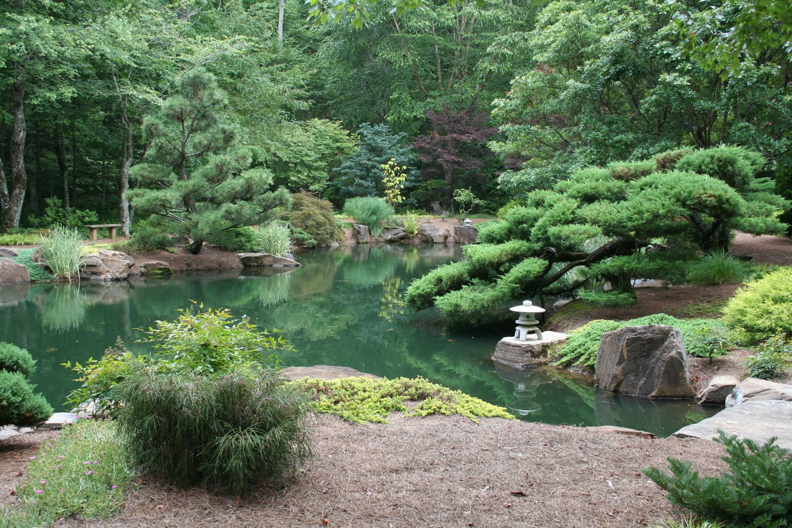 healing-koi-pond-japanese-garden-image-1.jpg