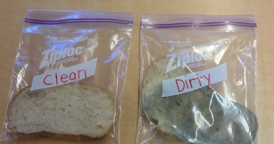 Mrs. Byrd's Learning Tree Yucky Germs! (A science experiment for kids)