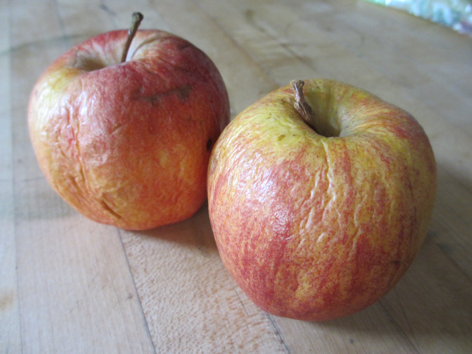 Feasty Geeks Skyrim Food Apple Cabbage Stew
