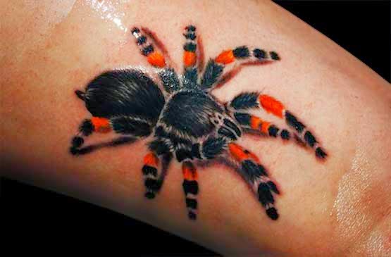 The amazing Tattoo designs amazing Tattoo designs