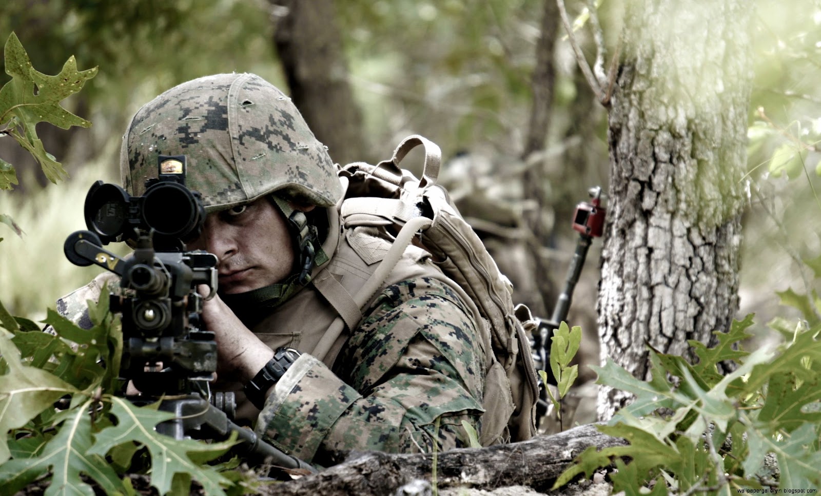 Army Ranger Sniper Army Ranger Sniper