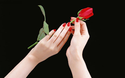 Red Rose and Red Nails Wallpapers