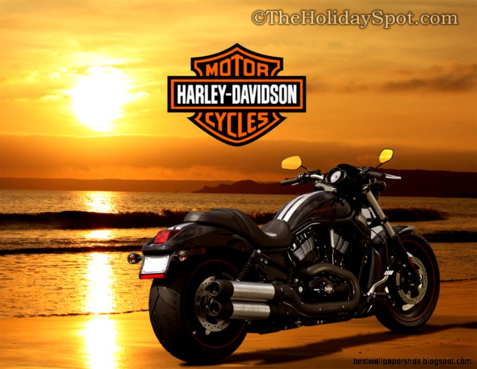 50 Harley Davidson HD Pictures BG Collection 50 Harley Davidson HD Pictures BG Collection