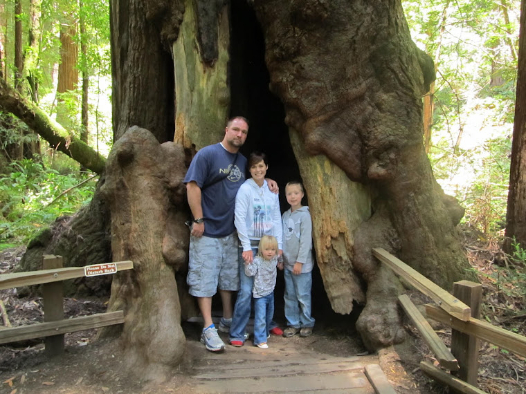 Muir woods