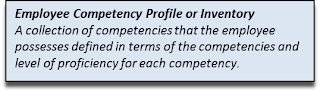 competency inventory