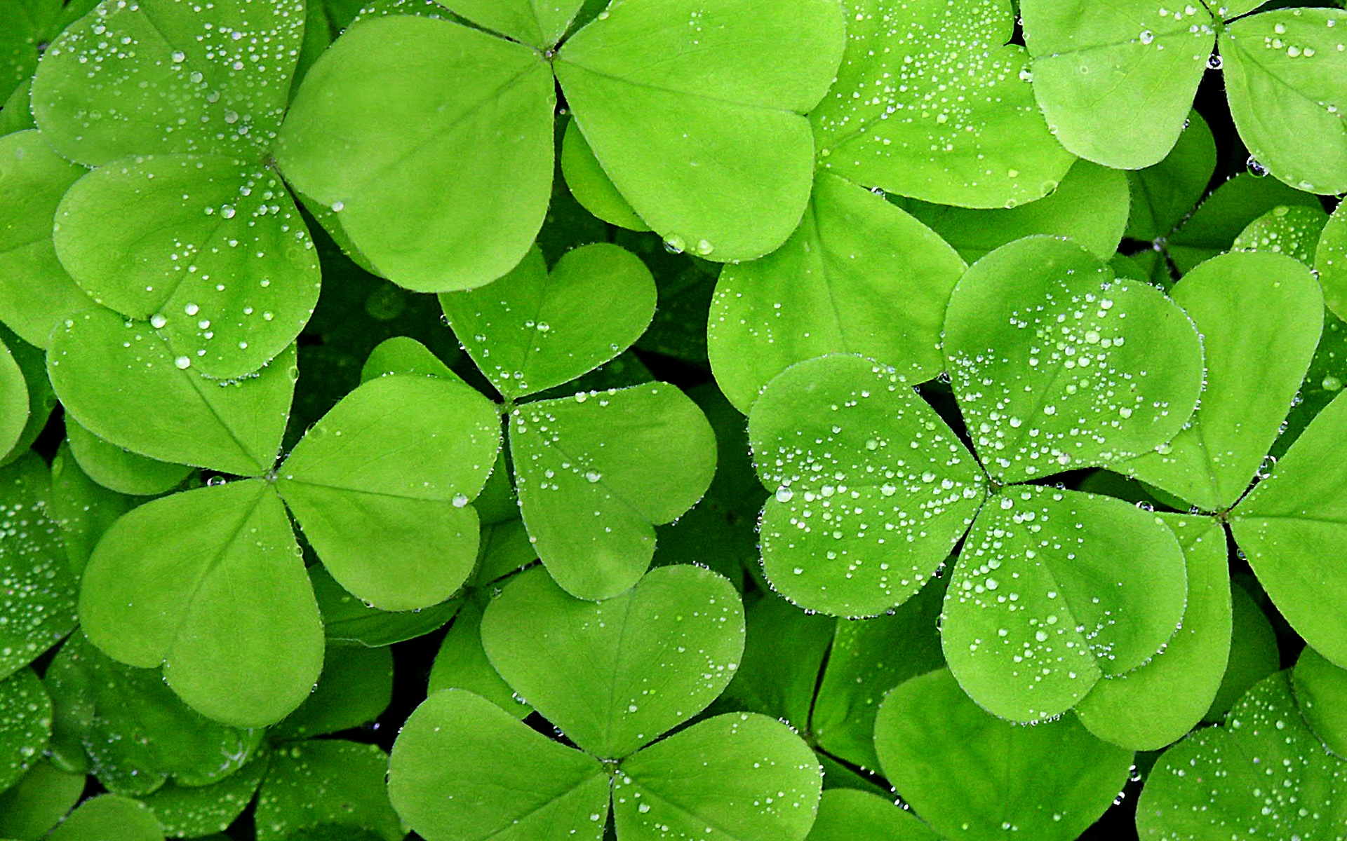 http://3.bp.blogspot.com/-nwXzsdOnrNs/TnO-TNWlEbI/AAAAAAAAZI0/oAw3zliq1dc/d/Windows%25208%2520Wallpapers%2520(6).jpg
