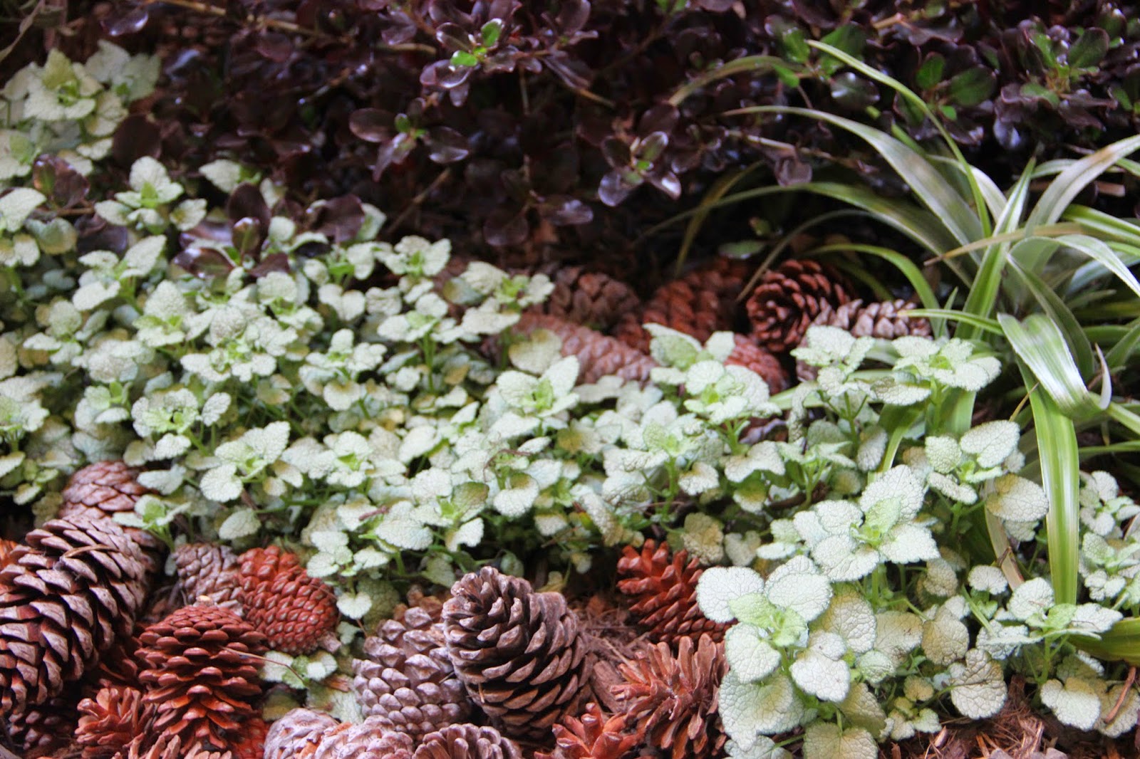 A Very Good Life It's a Wrap 25th Annual Southern California Spring