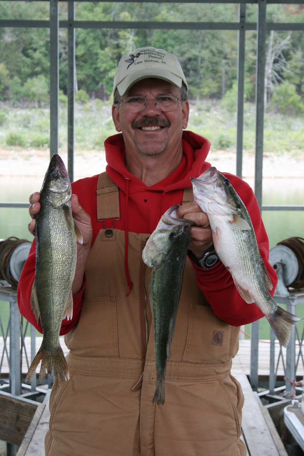 Hummingbird Hideaway Resort on Norfork Lake Norfork Lake Fishing Report