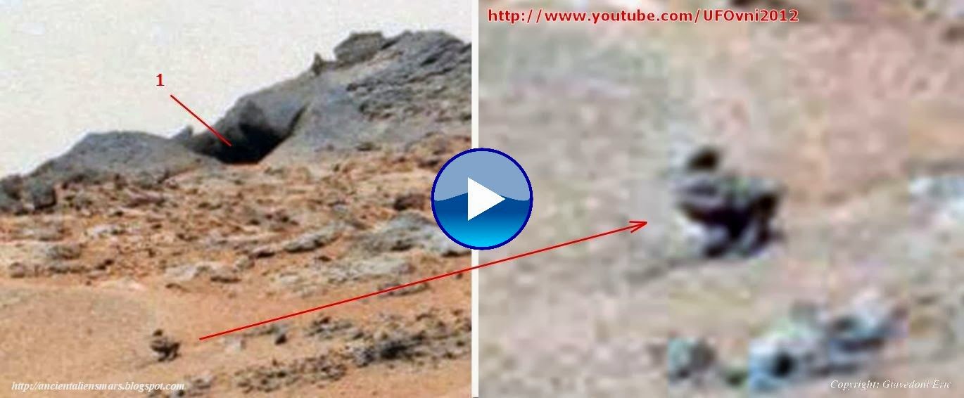Ancient Aliens On Mars Live Animals On Mars