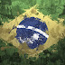 Curiosidades Brasileiras