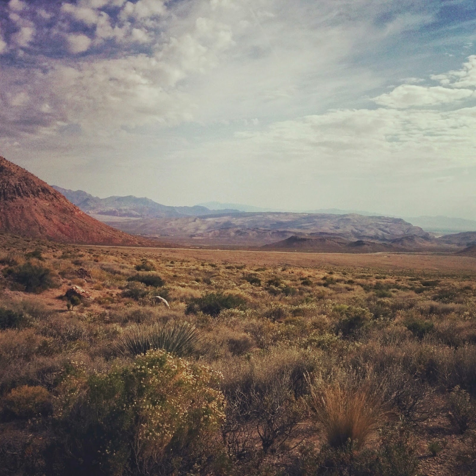 Trail Running | Las Vegas, NV