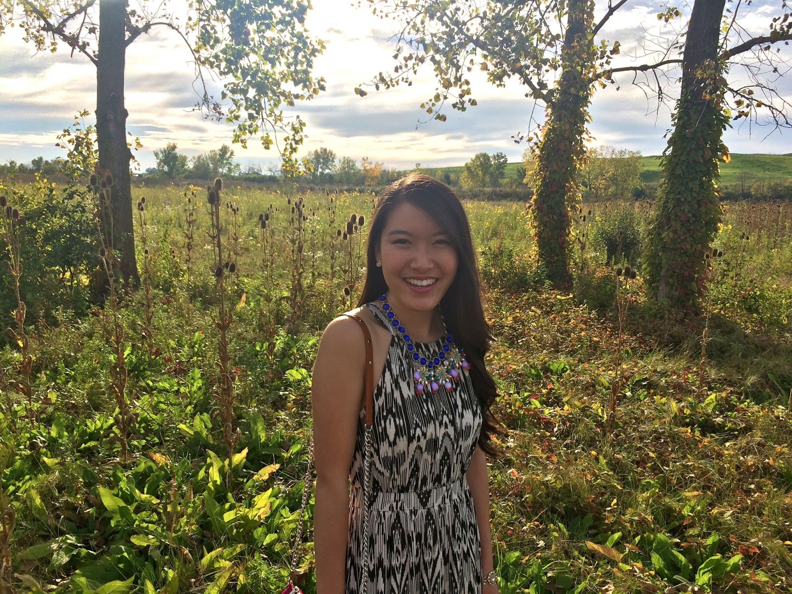 Grace In Style Style Story Fall Ikat 300 Kate Spade Giveaway