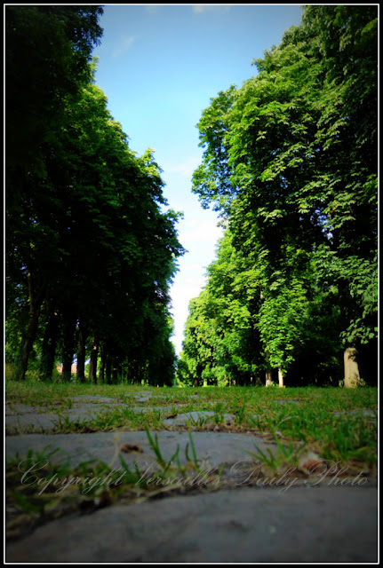 Parc du château de Versailles