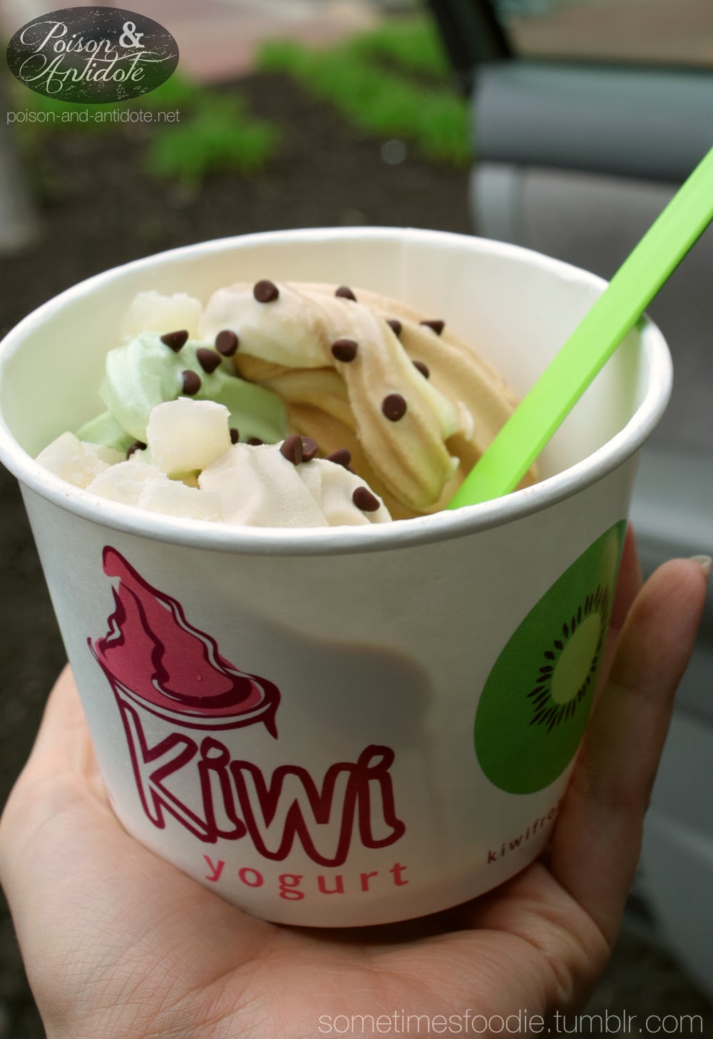 Sometimes Foodie Frozen Yogurt Kiwi Yogurt Cherry Hill, NJ