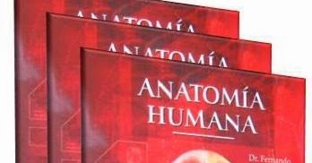 anatomia humana quiroz tomo 1 pdf de
