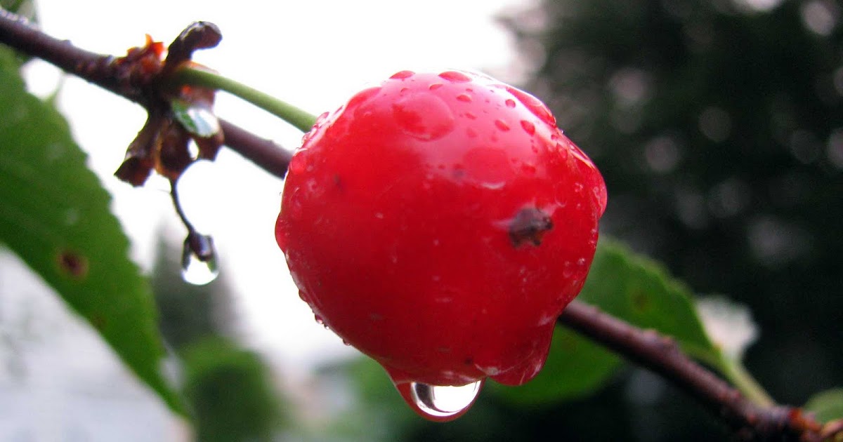 Long Island Daily Photo