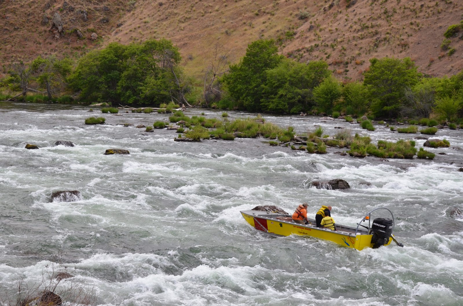 Deschutes River Salmon Fly Report May 2015 Water Time Outfitters