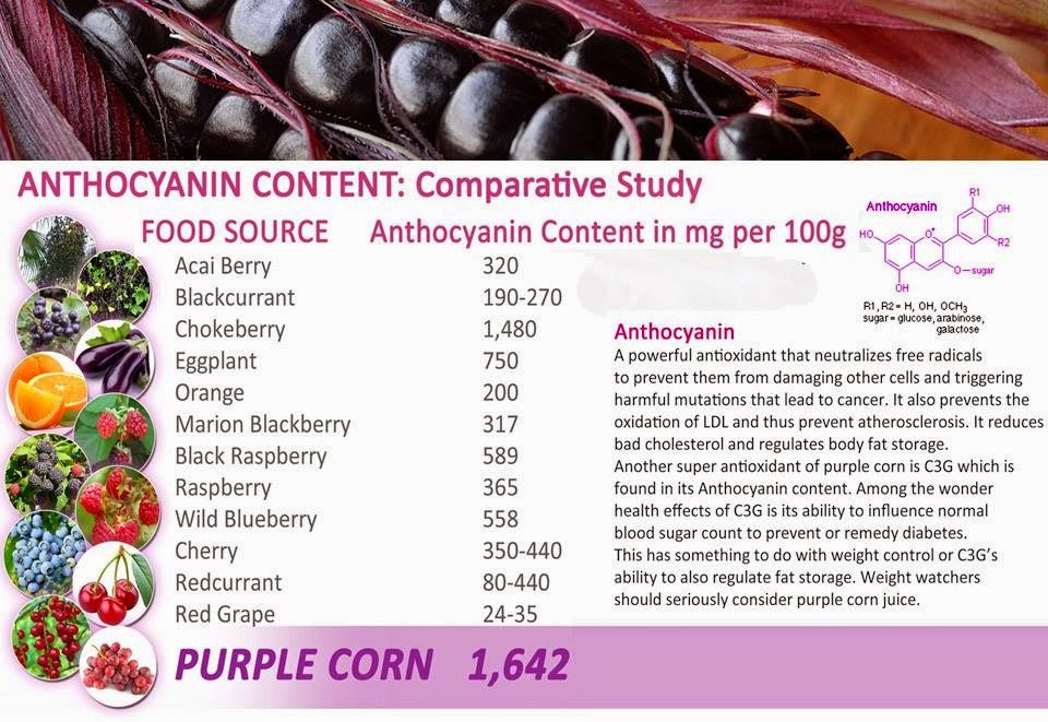 Purple Corn a Miraculous Superfood
