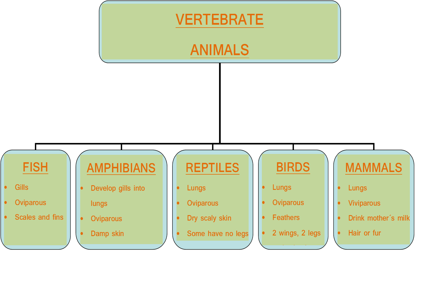 CLIL Module Animals VERTEBRATES