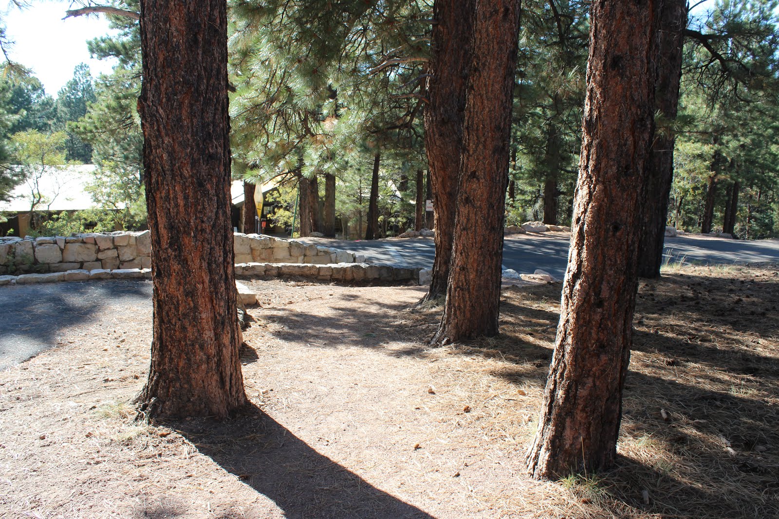 gjhikes.com: Bridle Path