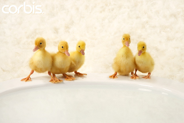 [Hình: vfun%252540yahoogroups.com%2B%25252815%252529.jpg]