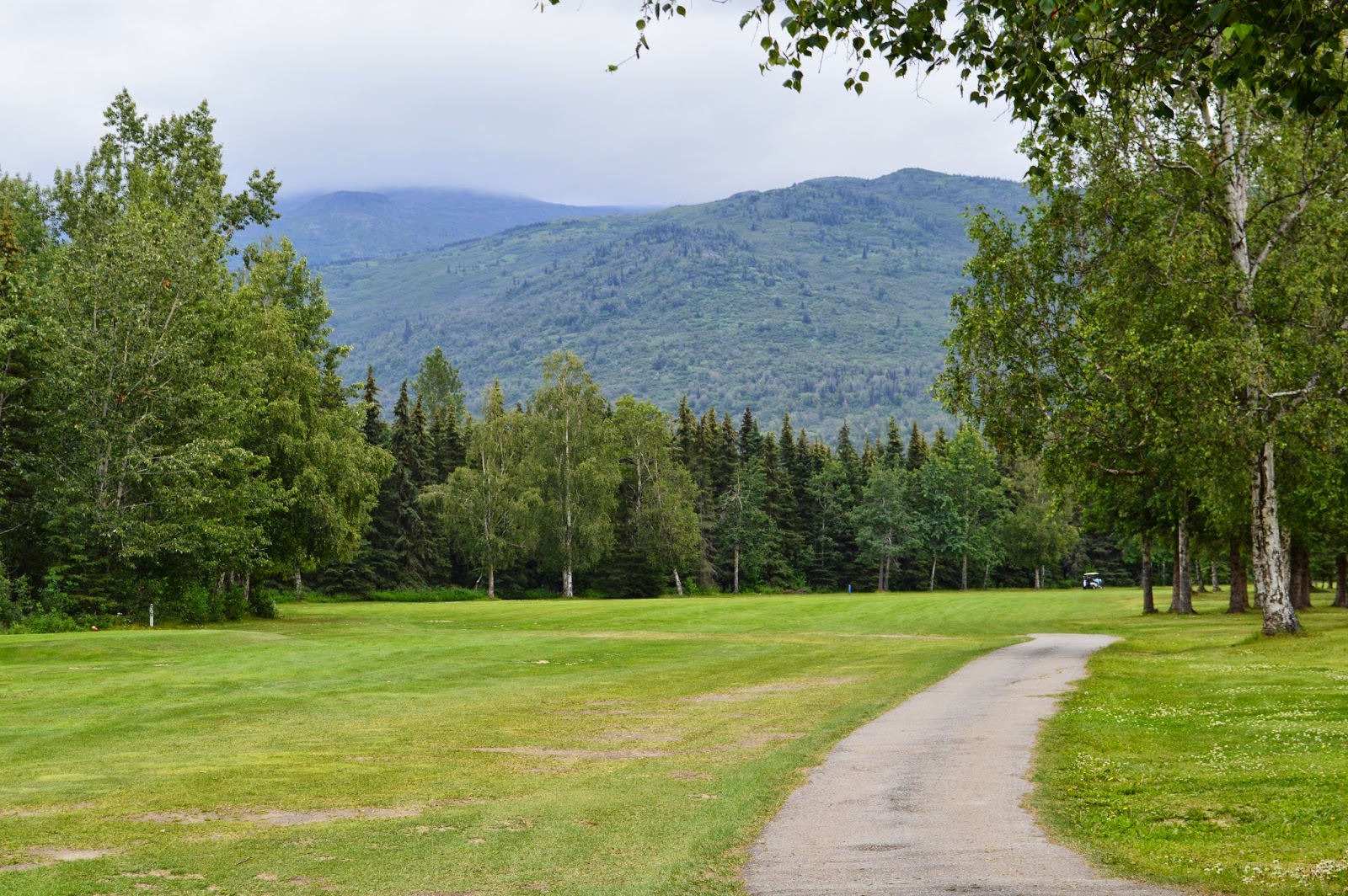 MSG.Divot's Golf Recon Fort Richardson, Alaska