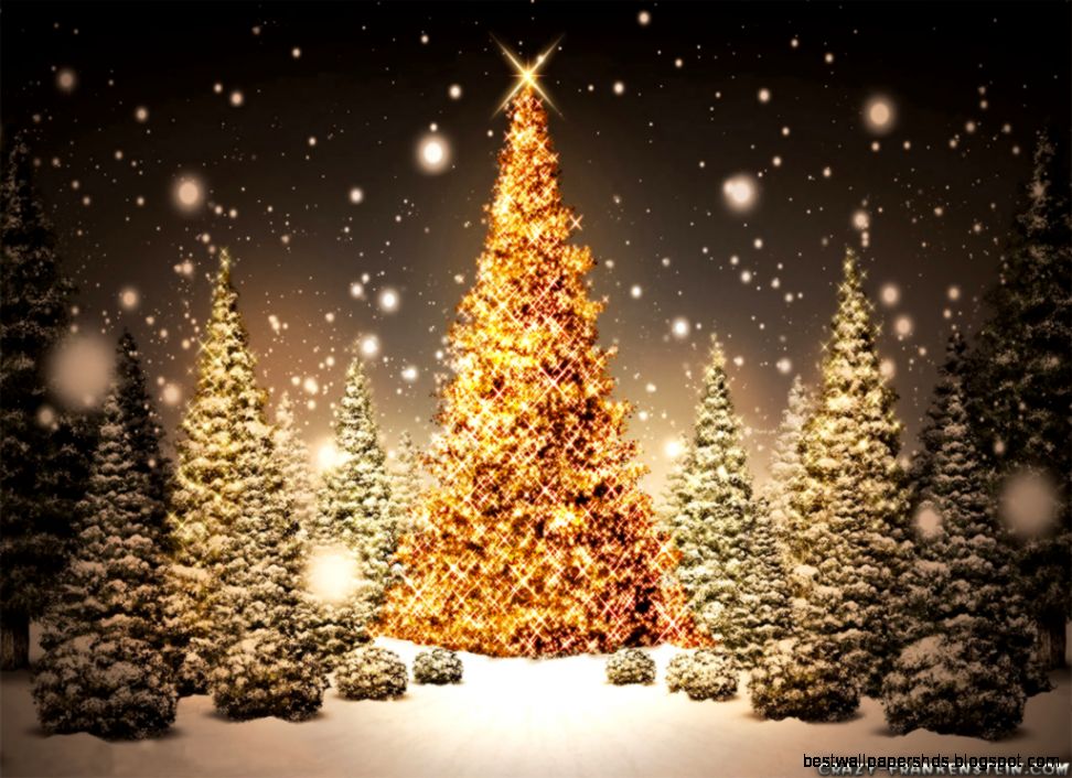 Crazy Frankenstein Christmas Tree wallpapers page 2 Crazy Frankenstein Christmas Tree wallpapers page 2