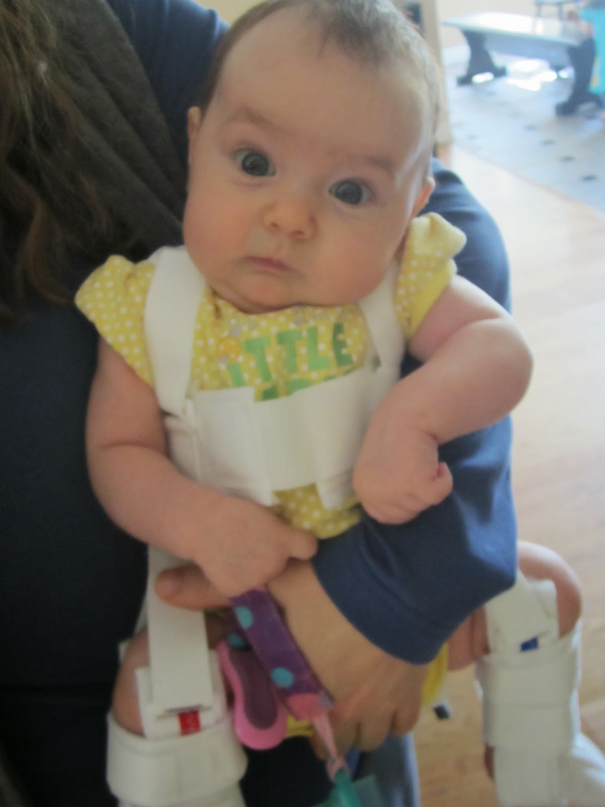 Our Life with 12 Kids * ** Baby Harness