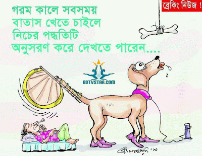 Bangla Dog