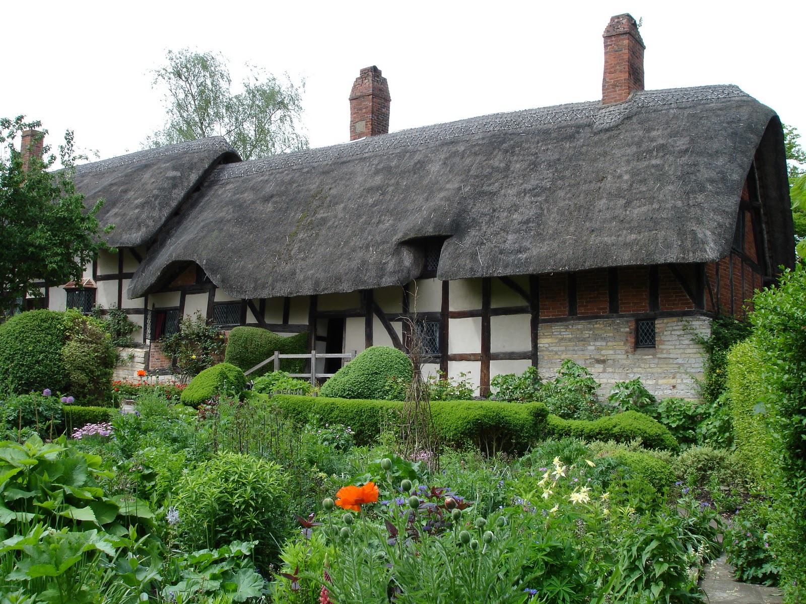 Savouring the Seasons A Cottage Tea