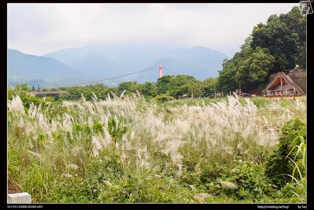 嘉義縣竹崎鄉親水公園萬竹博覽館-全新景點花仙子-天空步道啟用-千禧橋-弘景橋