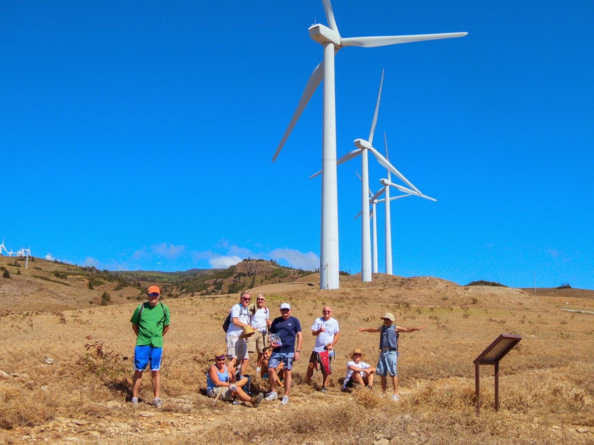 The Adventures of Maui Don Dolphin Dude Pali Windmills