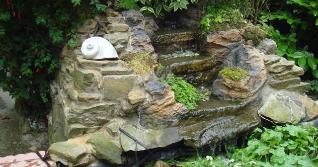 Bogor Konstruksi dan UNIk: TANAMAN AIR UNTUK KOI