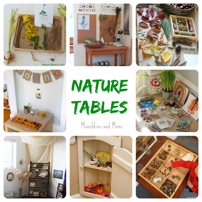 Homeschooling in Small Spaces Nature Tables Munchkins and Moms