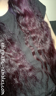 Plum Directions Dye directions-plum-hair-dye