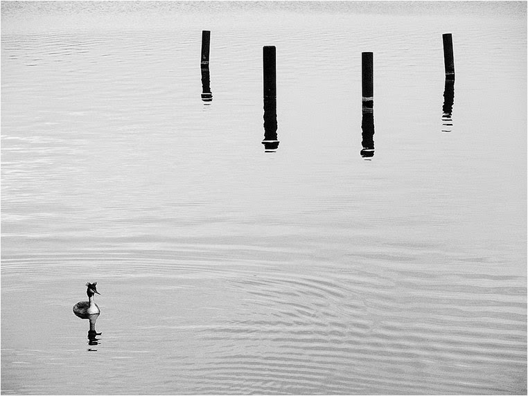 emerging photographers, Best Photo of the Day in Emphoka by Georg Hörmann, https://flic.kr/p/rsYrUo emerging photographers, Best Photo of the Day in Emphoka by Georg Hörmann, https://flic.kr/p/rsYrUo
