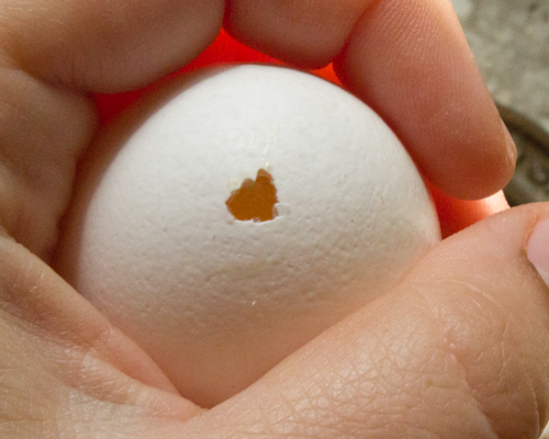 Egg hole poker