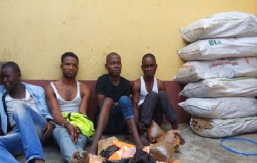 Rapid Respnse Squad arrests 4 suspects, recover 6 bags of Indian hemp