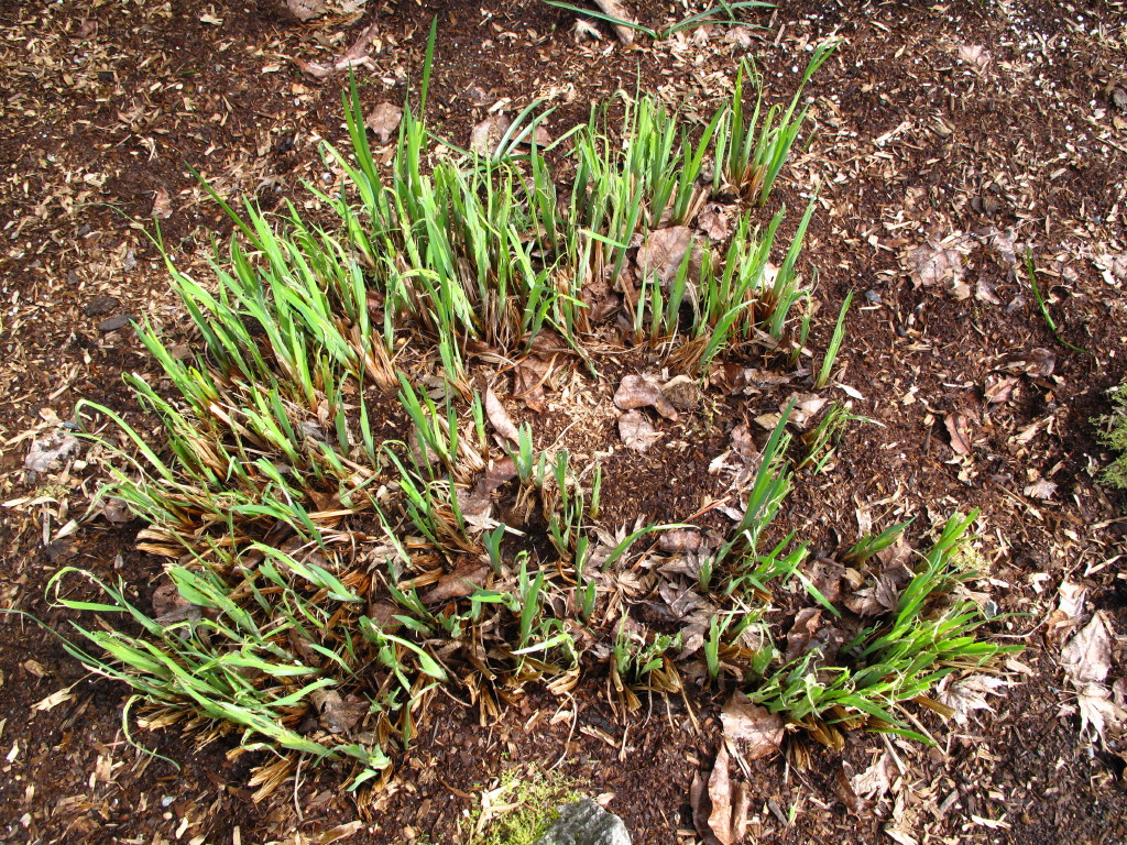 All About Plant Horticultural Field Trip Part 2