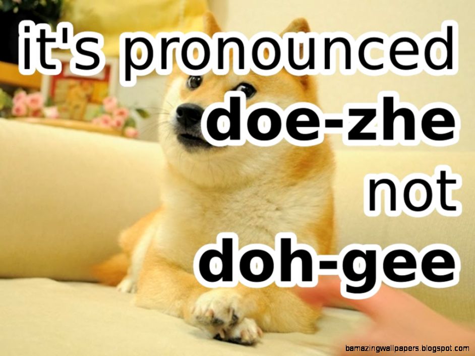 The Best of Doge The Absolute Best of the Shibe The Best of Doge The Absolute Best of the Shibe