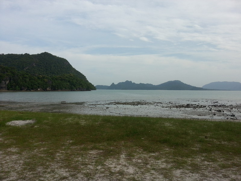 Dreaming of Pandora Forest - LANGKAWI NATURE BLOG, CONSERVATION ISSUES