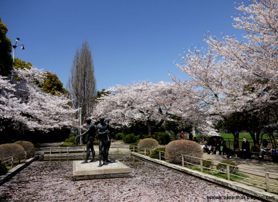 Chidorigafuchi Park Chidorigafuchi Park