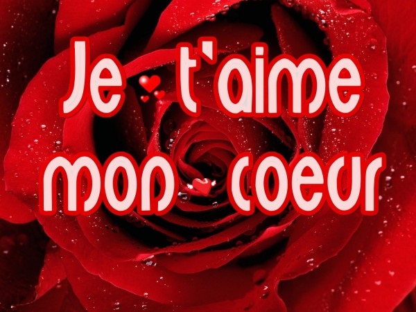 http://3.bp.blogspot.com/-o2g4iTe0n_c/UgJtrQiBRUI/AAAAAAAAJYc/C9zBjKh62qg/s1600/Meilleur-sms-d-amour.jpg