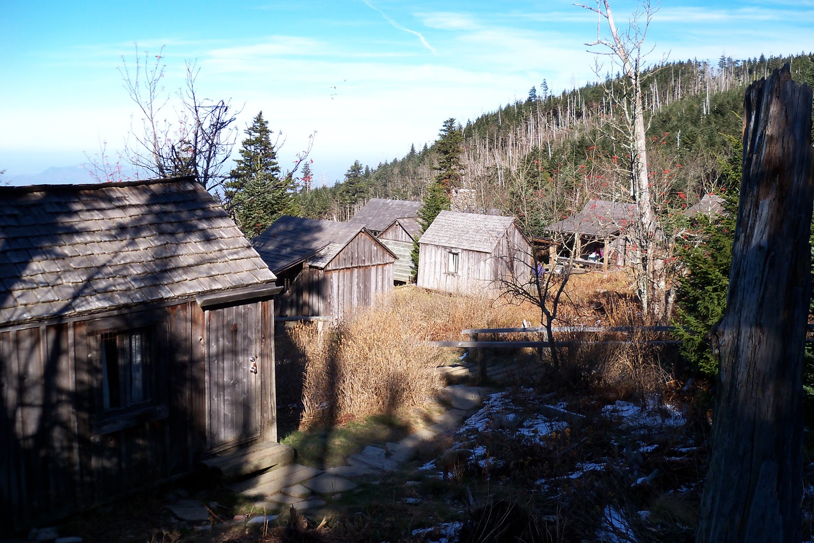 Rex's Adventures Hiking to the Highest Lodge in the Eastern United