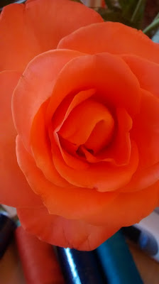 krankes Kleinkind Erfahrungen Kinderrettungsstelle Berlin Elternblog Runzelfuesschen krankes Kleinkind Erfahrungen Kinderrettungsstelle Berlin Elternblog Runzelfuesschen