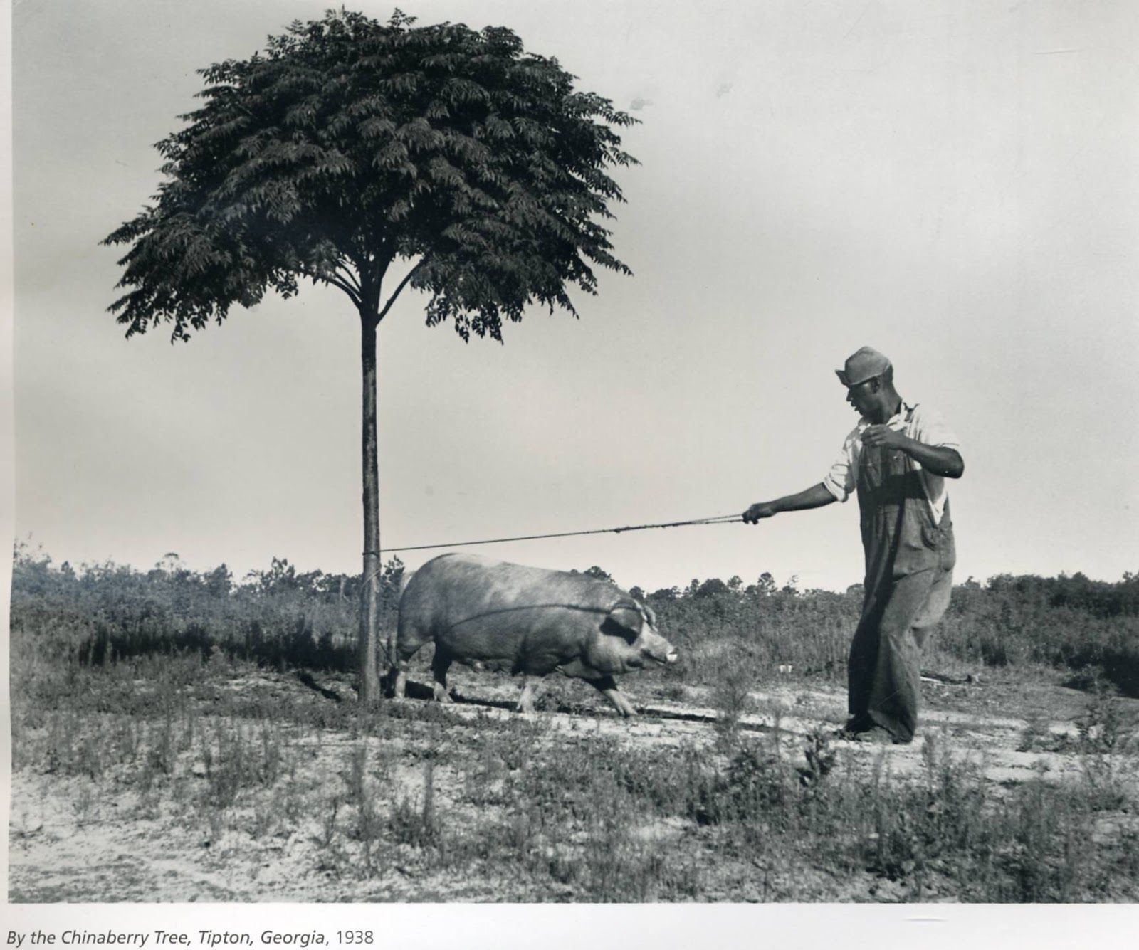 Life In Photographs By Dorothea Lange From The 1920s To
