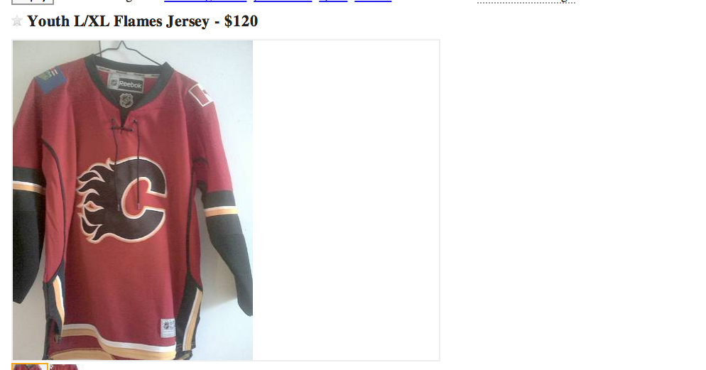 youth and work The Hockey Sweater